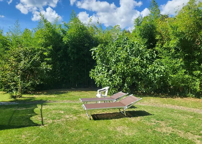 Agnello - Arte Грандола-ед-Унити